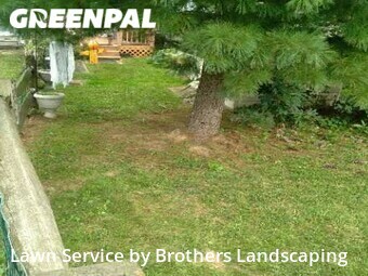 Lawn Cutting nearby New Castle, DE, 
