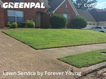 Lawn Mowing Service nearby Memphis, TN, 
