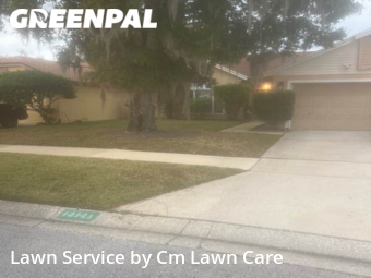 Yard Cutting nearby Orlando, FL, 