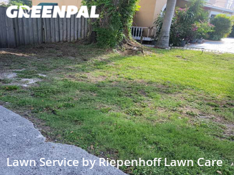 Grass Cutting nearby Tampa, FL, 