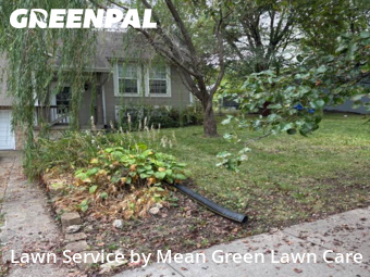 Lawn Cutin Blue Springs,64014,Yard Cutting by Mean Green Lawn Care, work completed in Nov , 2025