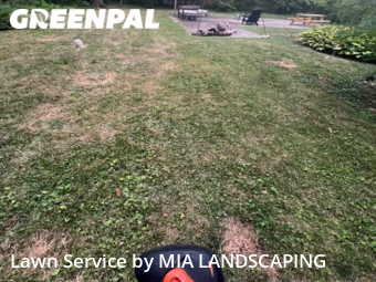 Grass Cutting nearby Towson, MD, 