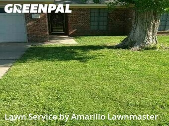 Yard Mowing nearby Amarillo, TX, 