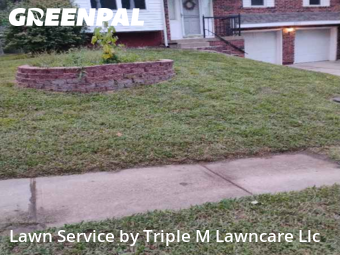 Lawn Care Servicein Blue Springs,64015,Yard Cutting by Triple M Lawncare Llc, work completed in Nov , 2025