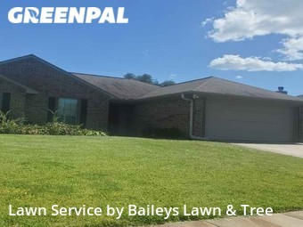 Lawn Cut nearby Flint, TX, 