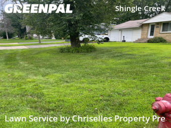 Yard Care in Brooklyn Center, 55430, Yard Work by Chriselles Property Pre, work completed in Nov , 2025