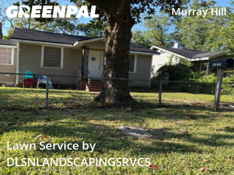 Grass Cut nearby Jacksonville, FL, 