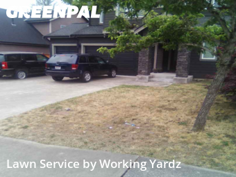 Yard Services in Renton, 98055, Yard Care Services by Working Yardz, work completed in Aug , 2025