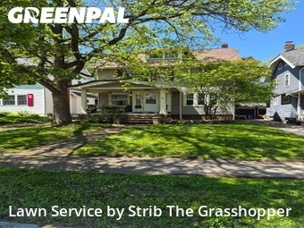 Lawn Cutin Lakewood,44107,Lawn Mow by Strib The Grasshopper, work completed in Jul , 2026