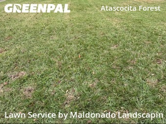 Grass Cuttingin Humble,77396,Lawn Mowing by Maldonado Landscapin, work completed in Jan , 2026