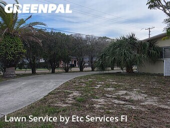 Lawn Cuttingin Dunedin,34698,Grass Cutting by Etc Services Fl, work completed in Jun , 2026