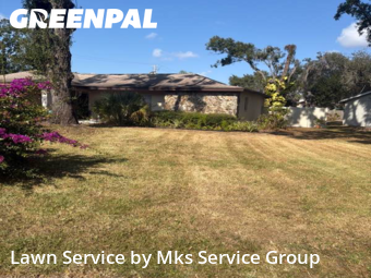 Landscaping Maintenance In Tampa,33617,Landscaping Installation by Mks Service Group, work completed in Nov , 2025