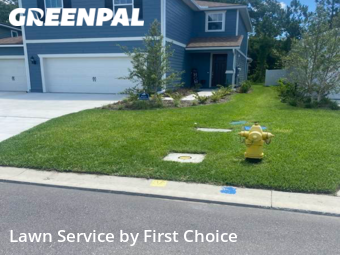 Grass Cutting nearby St. Augustine, FL, 