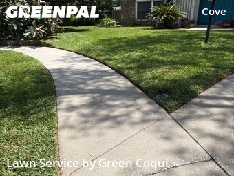 Lawn Mowing nearby Tampa, FL, 