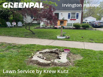 Lawn Cutting nearby Indianapolis, IN, 