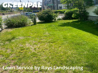 Grass Cut nearby Watertown, MA, 