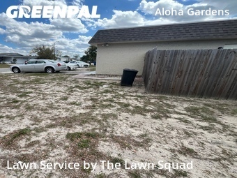 Grass Cut nearby Holiday, FL, 