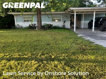 Grass Cutting nearby Pinellas Park, FL, 