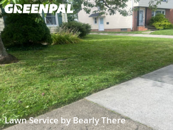 Grass Cutting nearby South Euclid, OH, 