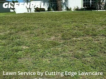 Yard Cutting nearby Port St. Lucie, FL, 