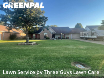 Yard Management in Southaven, 38671, Yard Upkeep by Three Guys Lawn Care, work completed in Nov , 2025