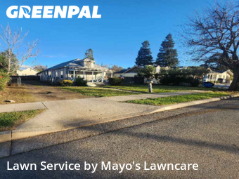 Lawn Cut nearby Clovis, CA, 