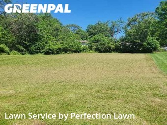 Lawn Cut nearby Independence, MO, 