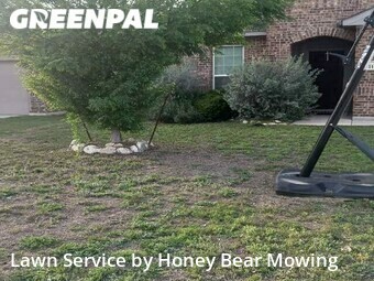 Grass Cut nearby Schertz, TX, 