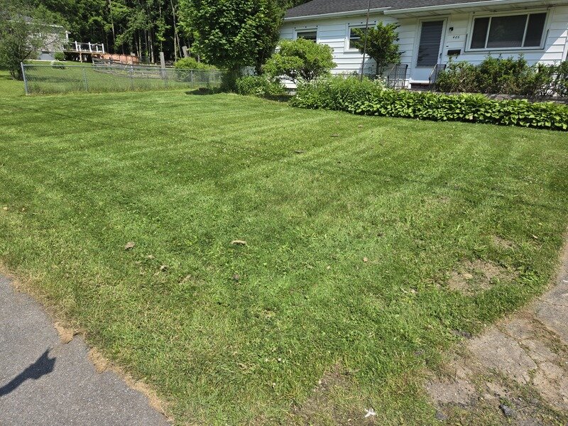 Work Image 6