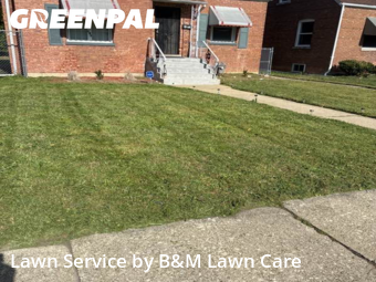Yard Services in Harvey, 60426, Yard Upkeep by B&M Lawn Care, work completed in Dec , 2025
