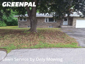 Grass Cutting nearby Schenectady, NY, 