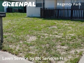 Grass Cut nearby Port Richey, FL, 