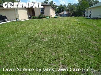Lawn Mowing nearby Spring Hill, FL, 