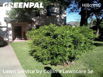 Lawn Mowing Service nearby Austin, TX, 