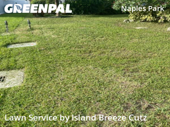 Lawn Work in Naples, 34108, Lawn Care by Island Breeze Cutz, work completed in Nov , 2025