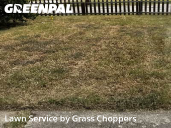 Yard Cutting nearby Denton, TX, 