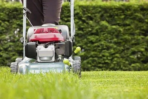 San Mateo Lawn Mower Shop Photo 2