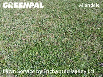 Lawn Mowing nearby Port Orange, FL, 