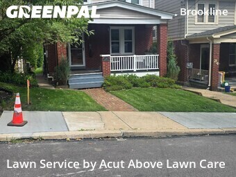 Lawn Cut nearby Pittsburgh, PA, 