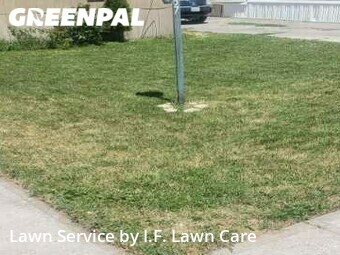 Grass Cut nearby Idaho Falls, ID, 
