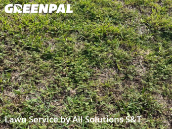 Yard Mowing nearby Haines City, FL, 