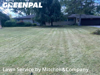 Yard Cutting in Southfield, 48076, Landscaping Maintenance by Mitchell&Company, work completed in Nov , 2025
