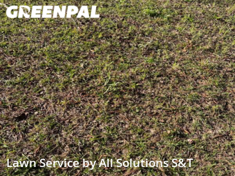 Lawn Care Service nearby Winter Haven, FL, 