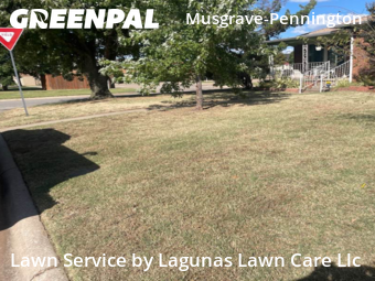 Lawn Mow nearby Oklahoma City, OK, 