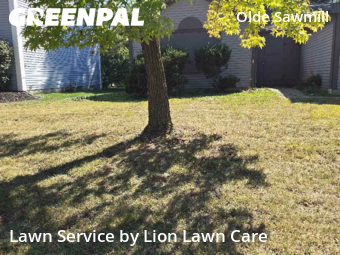 Work completed by affordable-lawn-services-in-Dublin-CA