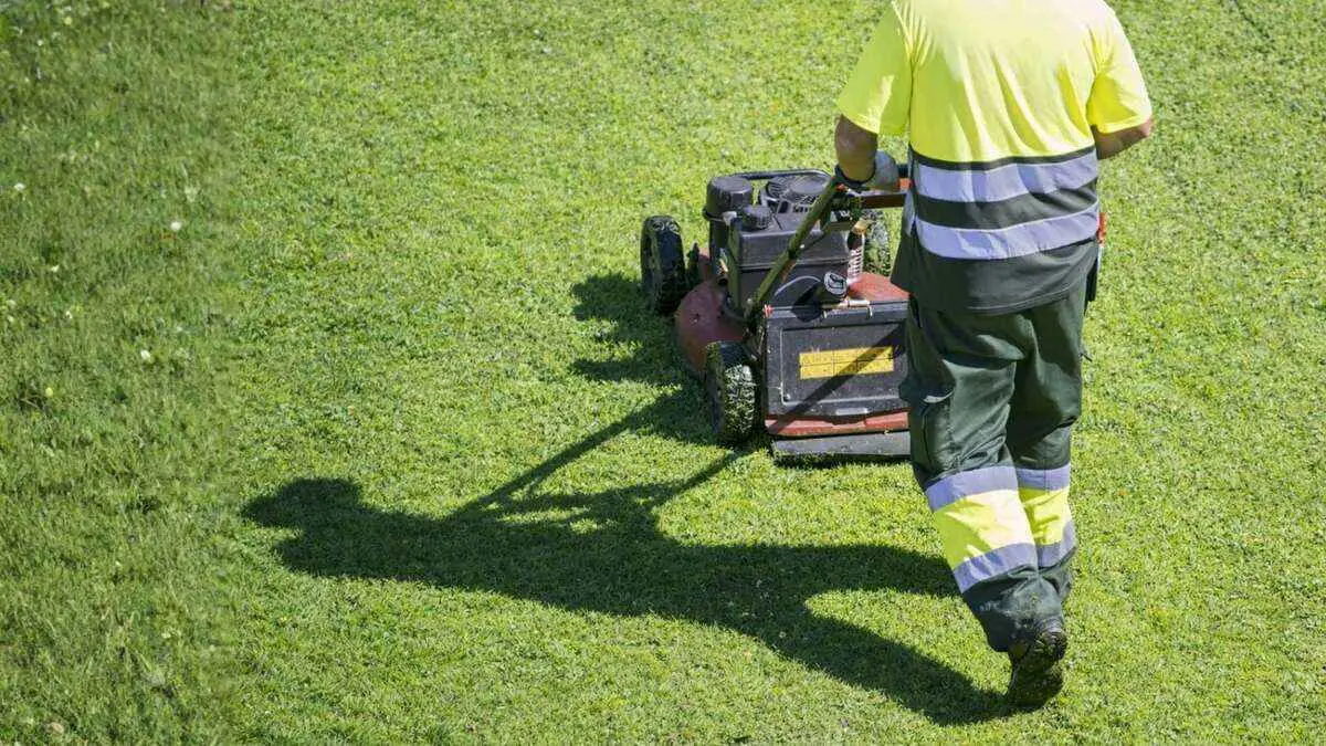 How to Choose the Best Lawn Care Company in Charlotte in 2026