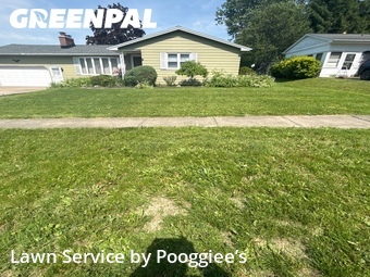 Lawn Care Service nearby Akron, NY, 