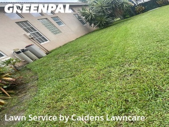 Lawn mowed in Boca Raton, 33498