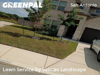 Lawn Cut nearby San Antonio, TX, 