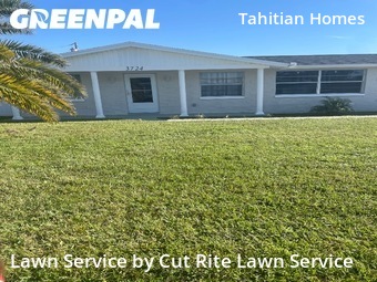 Yard Mowing nearby Holiday, FL, 